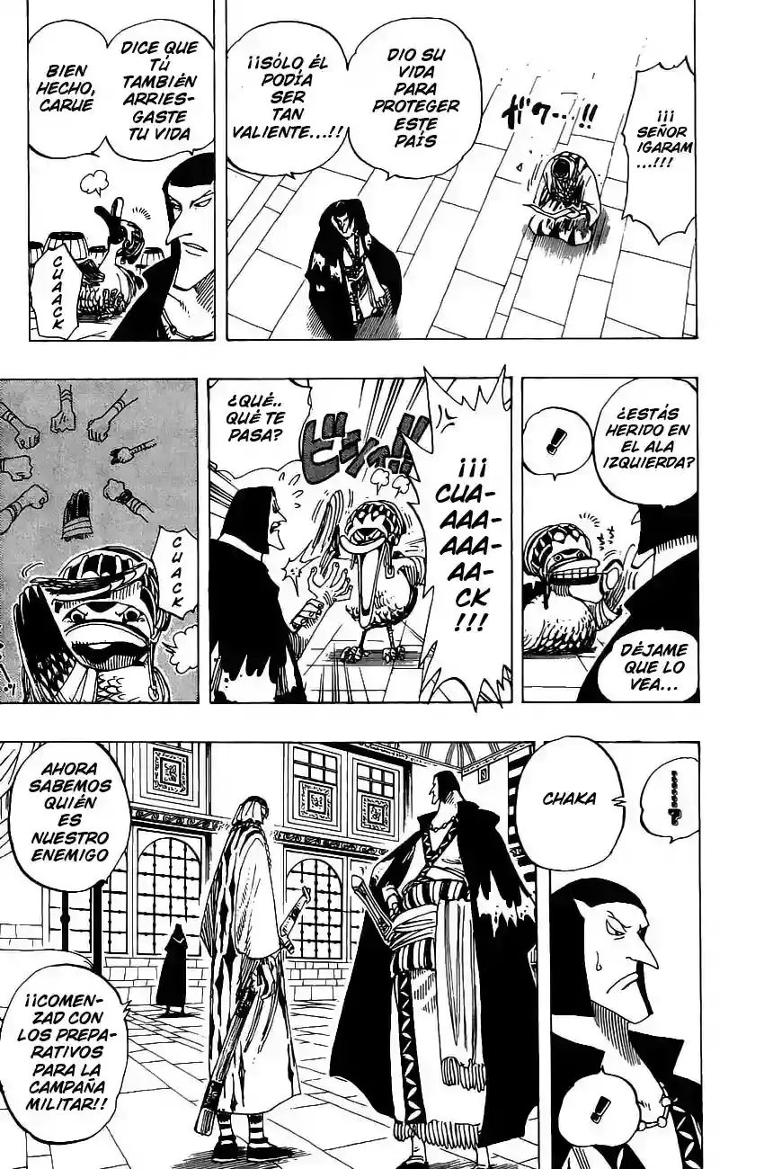 One Piece Capitulo 167 página 15