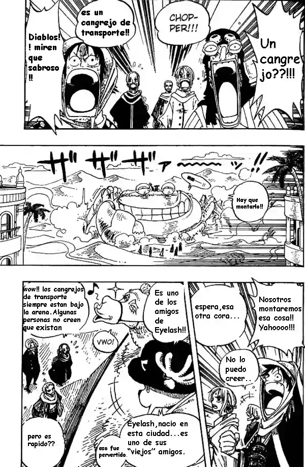 One Piece Capitulo 176 página 17