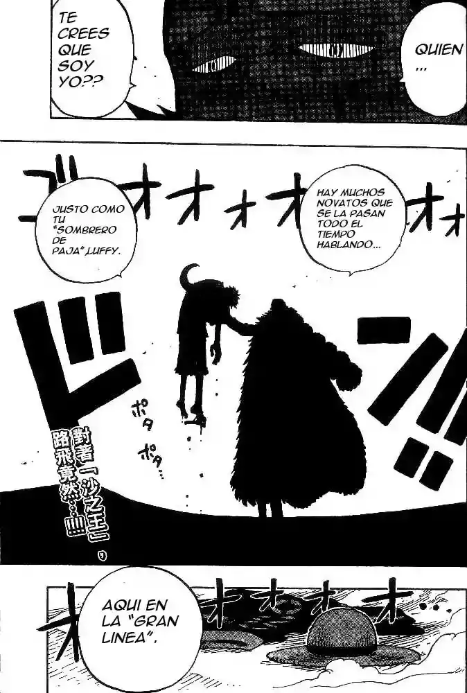 One Piece Capitulo 178 página 19