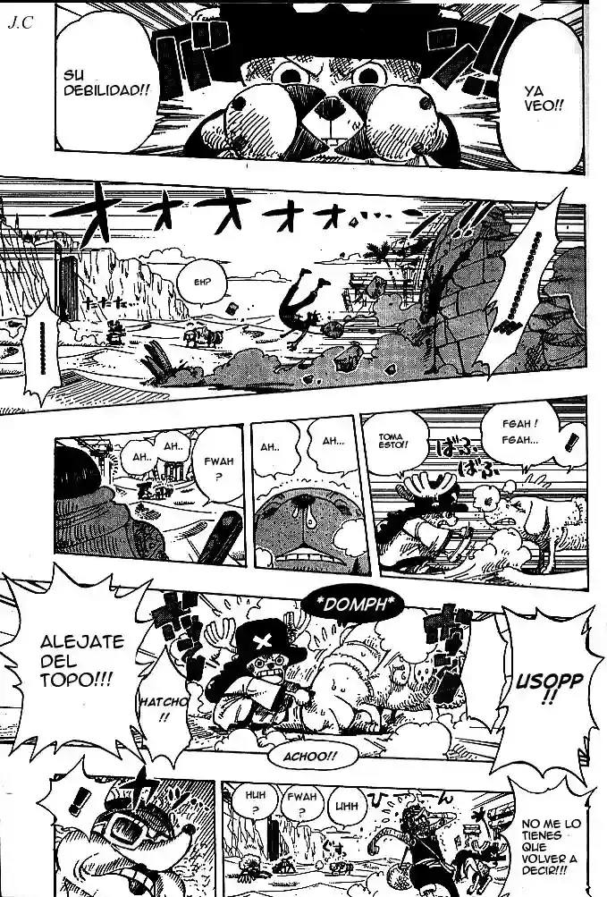 One Piece Capitulo 185 página 17