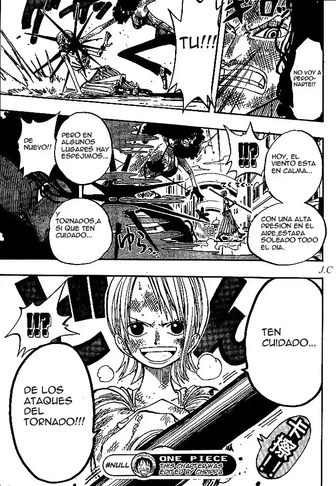 One Piece Capitulo 192 página 19