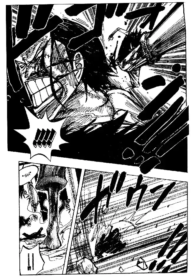 One Piece Capitulo 204 página 11