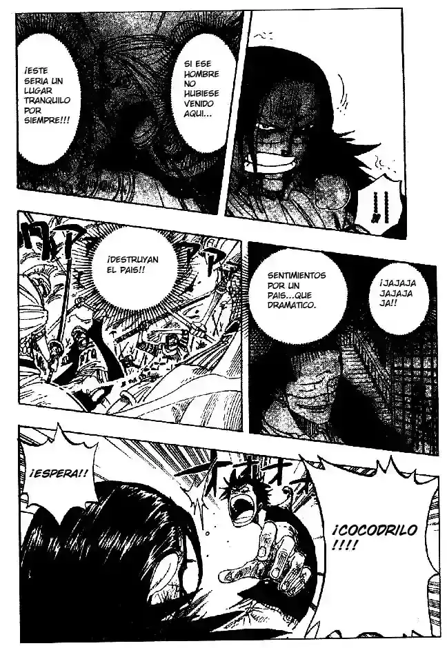 One Piece Capitulo 204 página 12