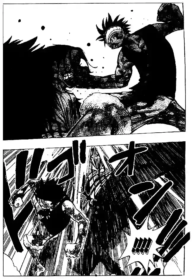One Piece Capitulo 204 página 13