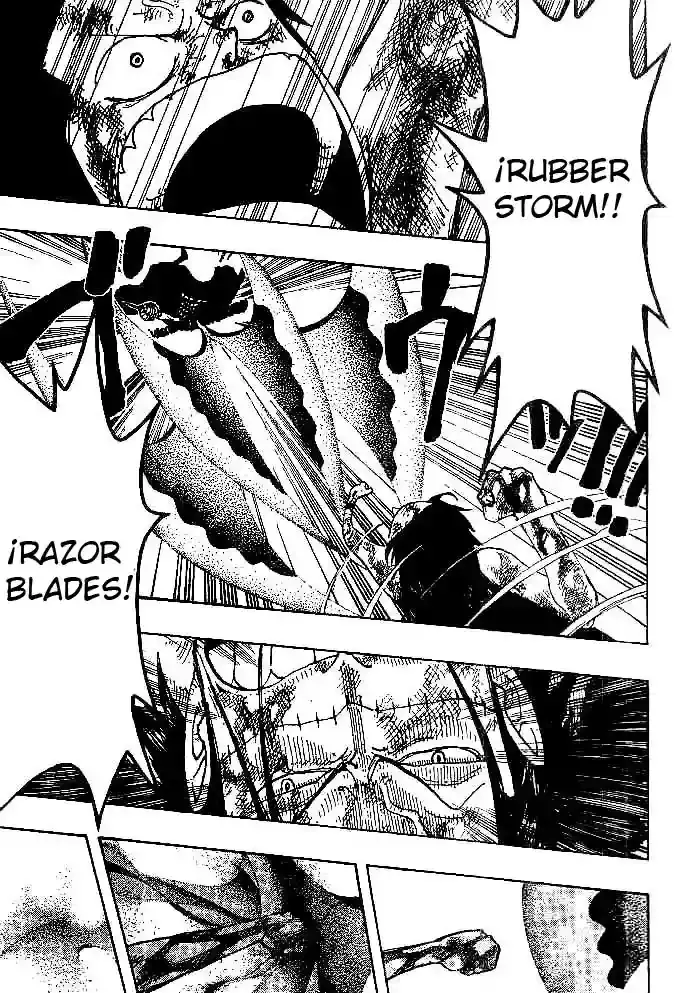 One Piece Capitulo 209 página 15