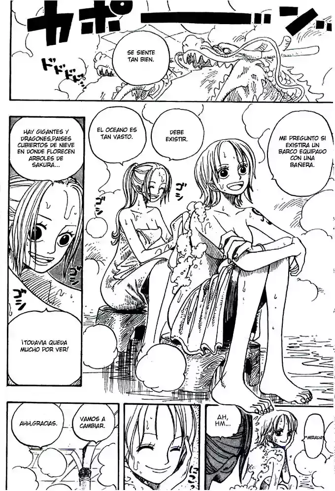 One Piece Capitulo 213 página 17