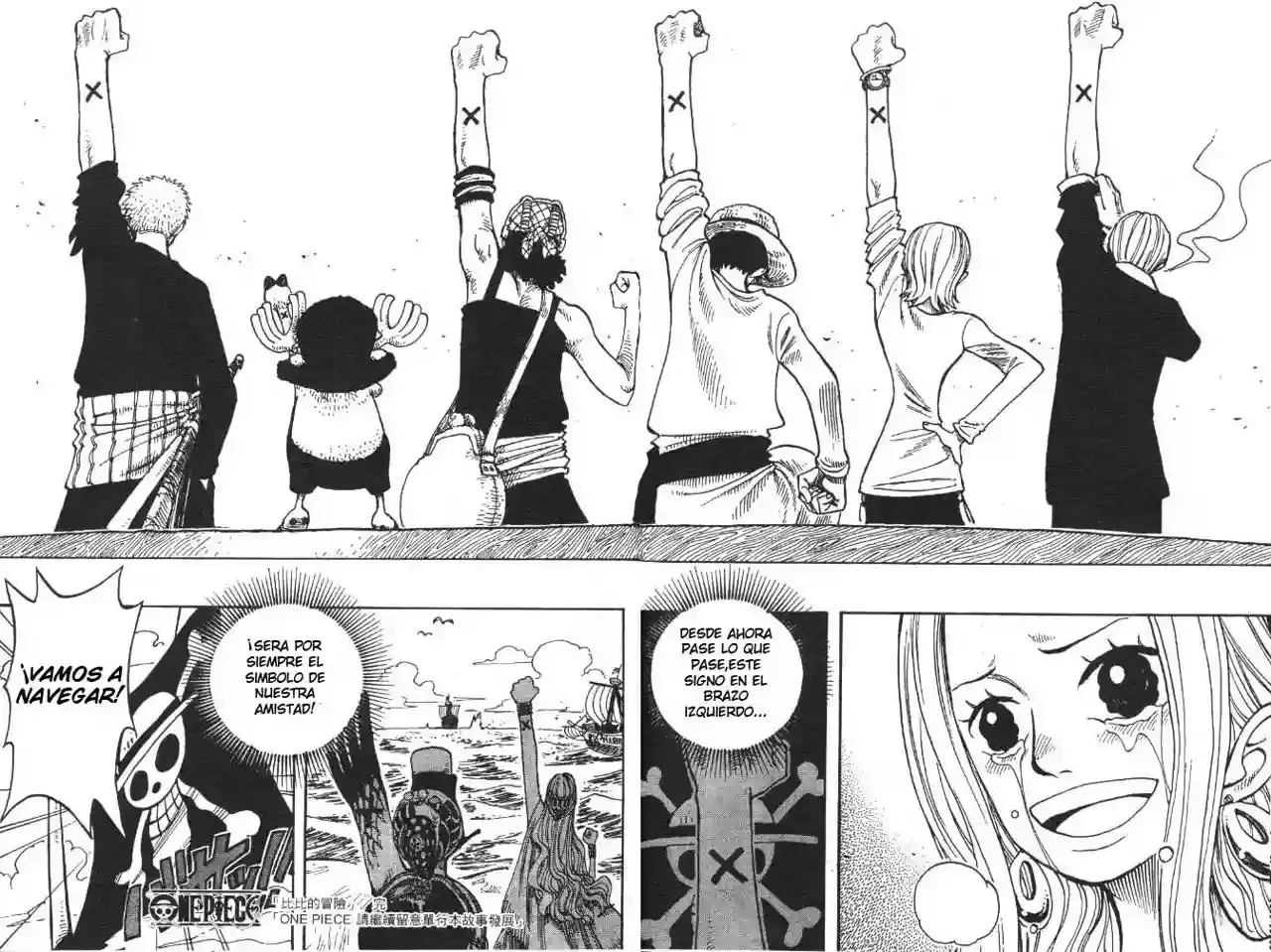 One Piece Capitulo 216 página 17