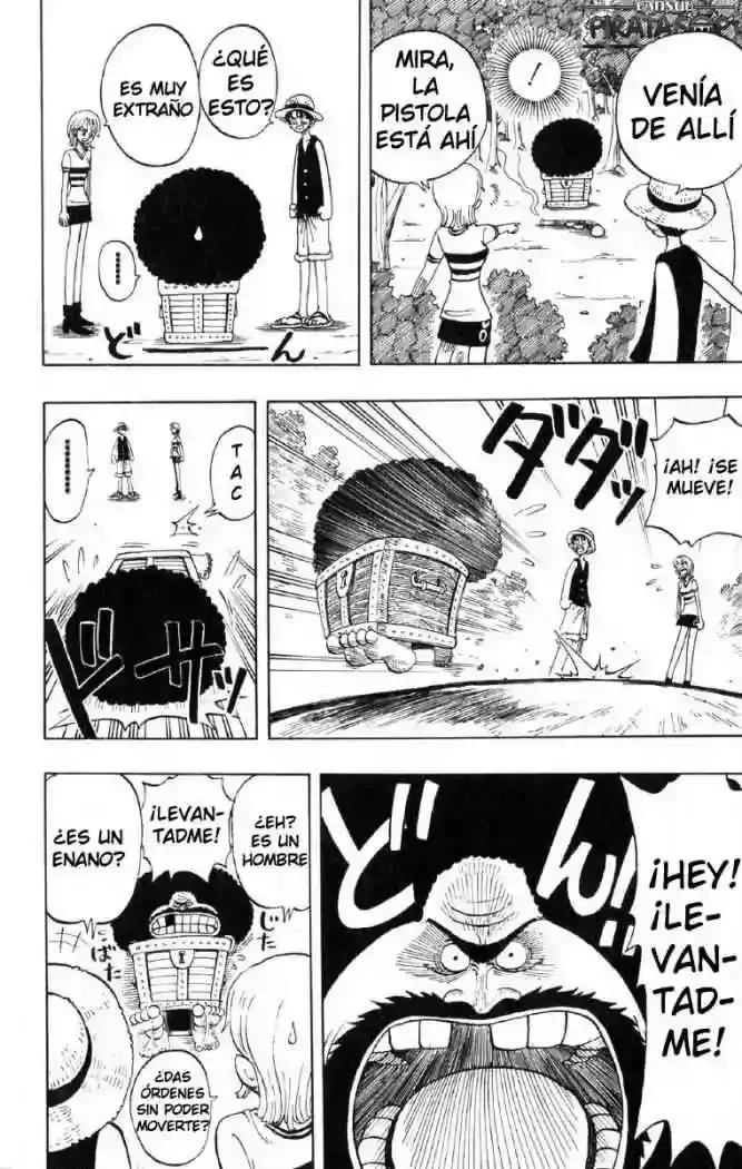 One Piece Capitulo 22: "Eres un Bicho Raro" página 11