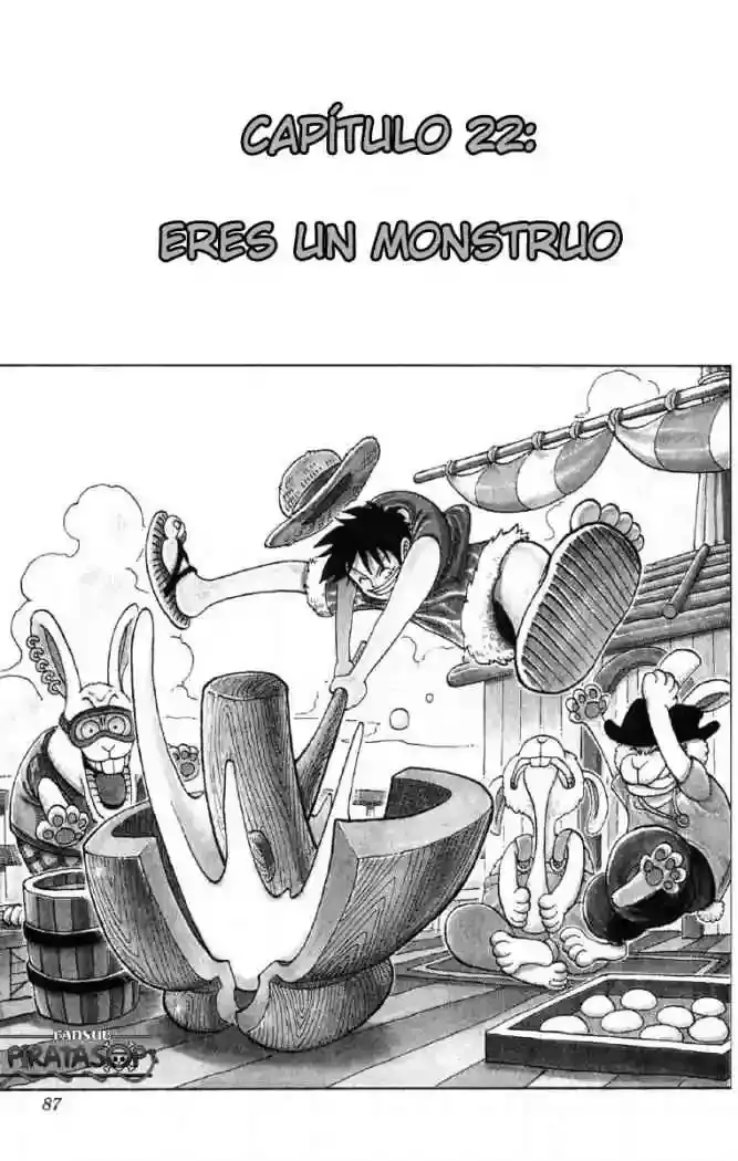 One Piece Capitulo 22: "Eres un Bicho Raro" página 2