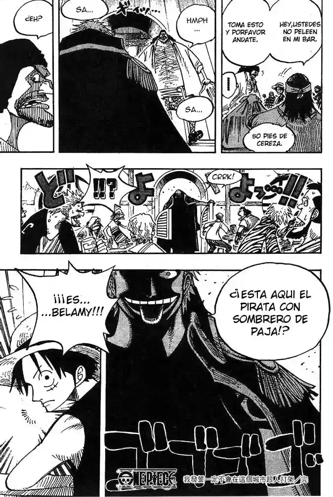 One Piece Capitulo 223 página 19