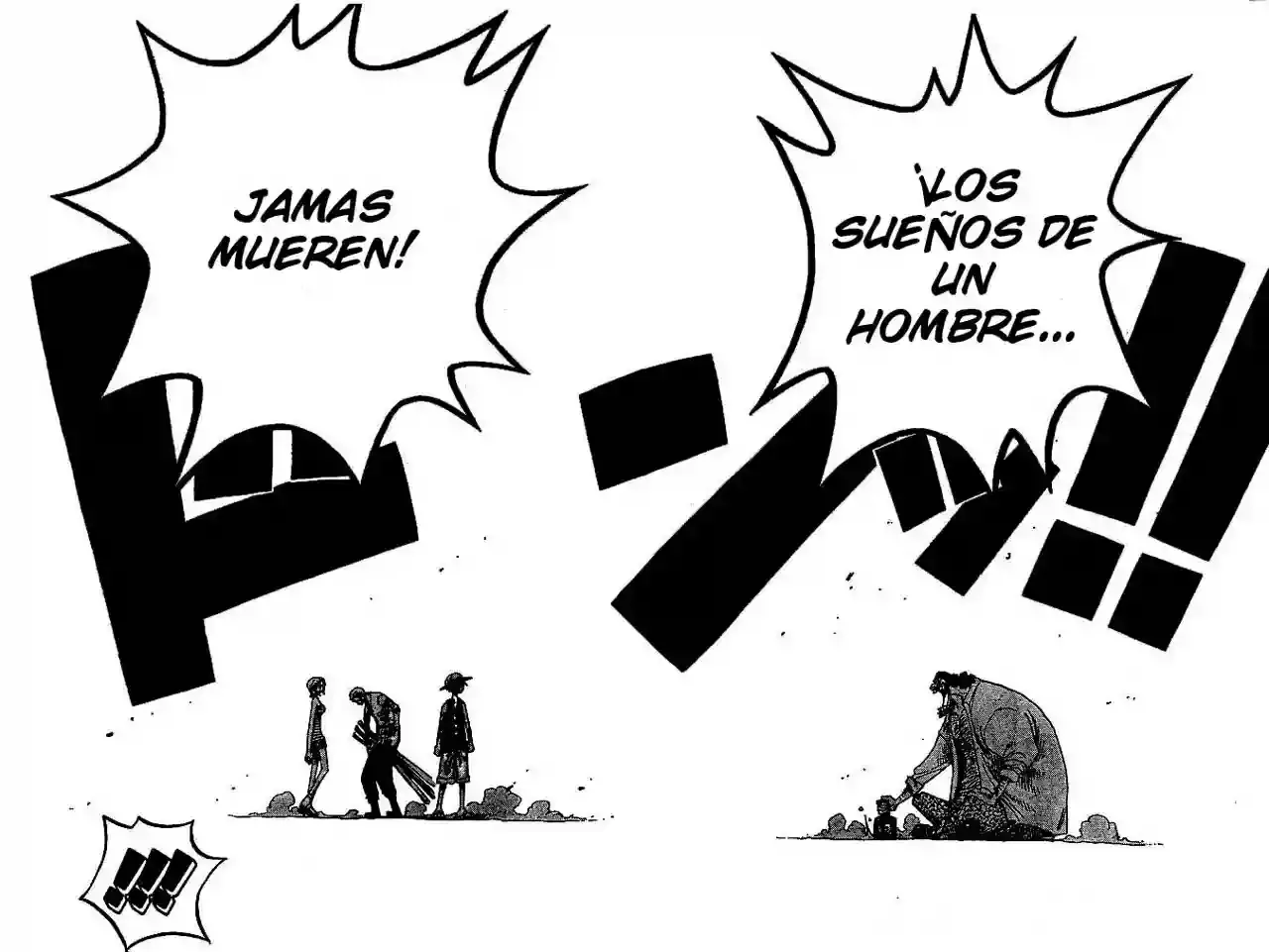 One Piece Capitulo 225 página 12