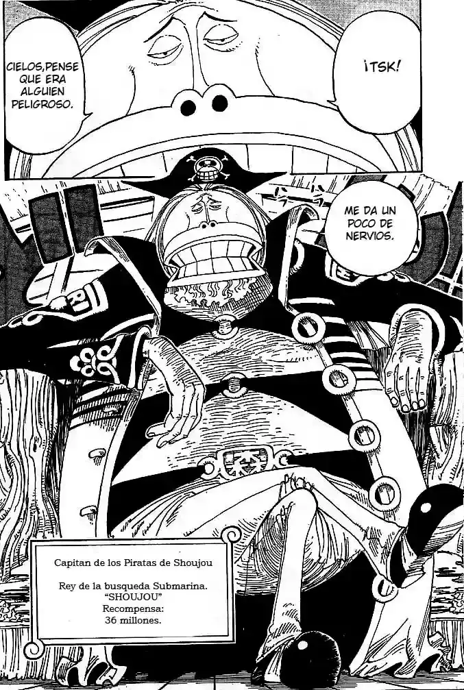 One Piece Capitulo 226 página 11