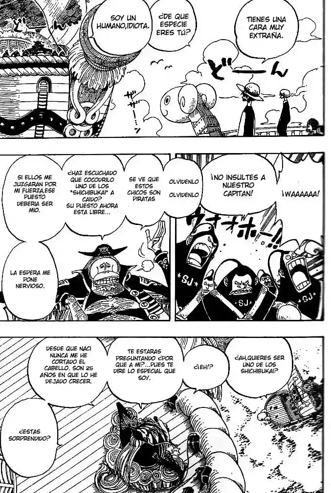 One Piece Capitulo 226 página 12