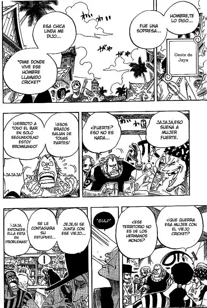 One Piece Capitulo 226 página 17
