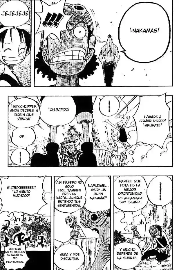 One Piece Capitulo 229 página 15