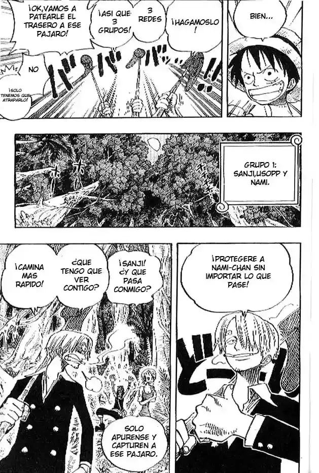 One Piece Capitulo 230 página 11