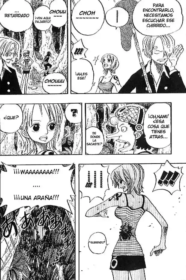 One Piece Capitulo 230 página 12