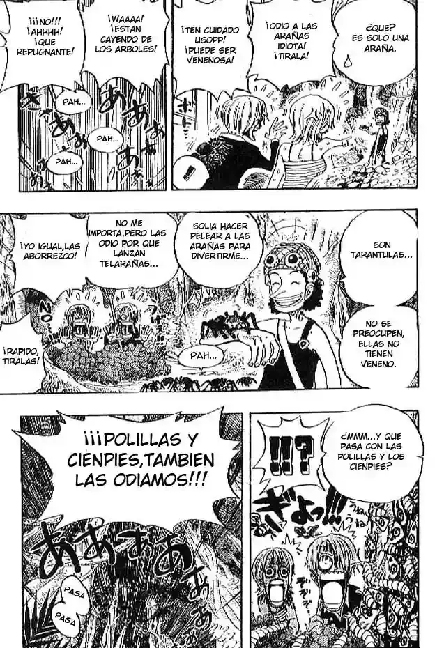 One Piece Capitulo 230 página 13