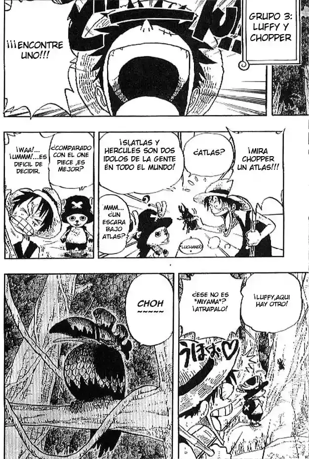 One Piece Capitulo 230 página 16