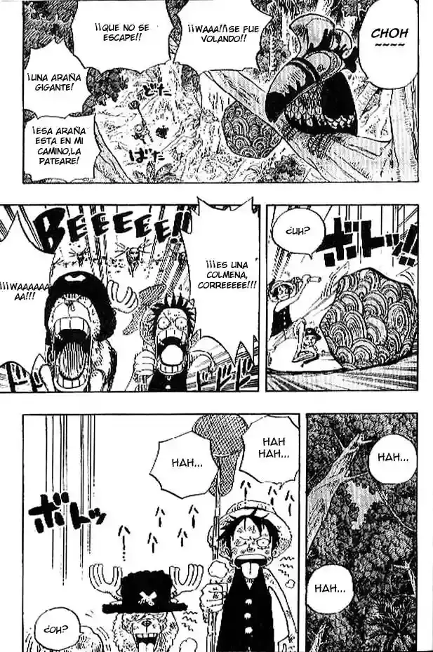 One Piece Capitulo 230 página 17