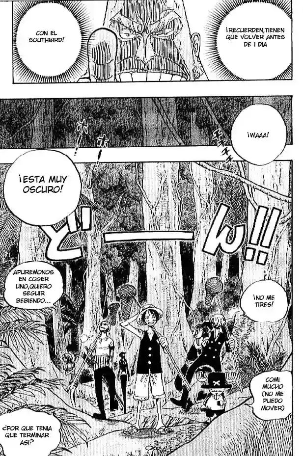 One Piece Capitulo 230 página 9