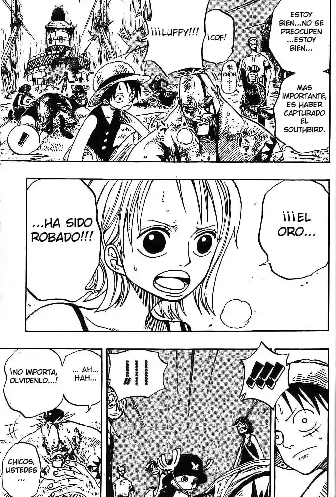 One Piece Capitulo 231 página 17