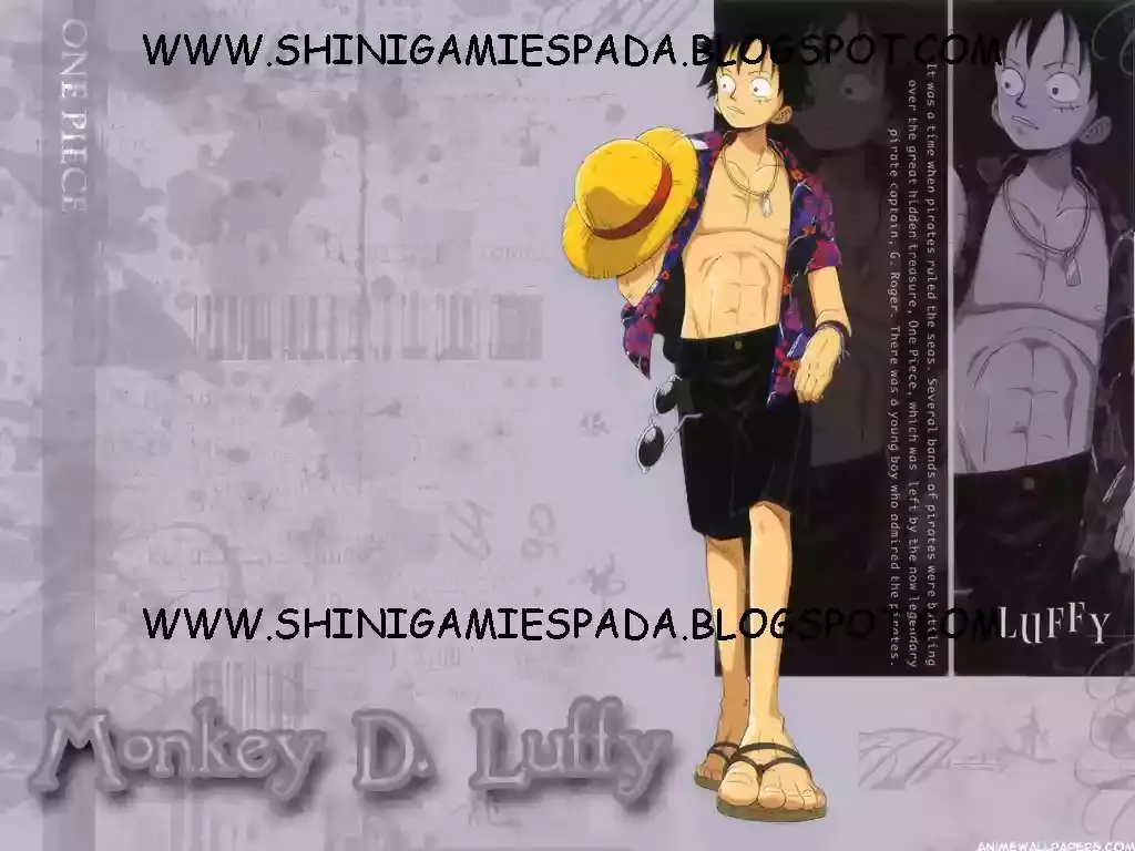 One Piece Capitulo 233 página 18