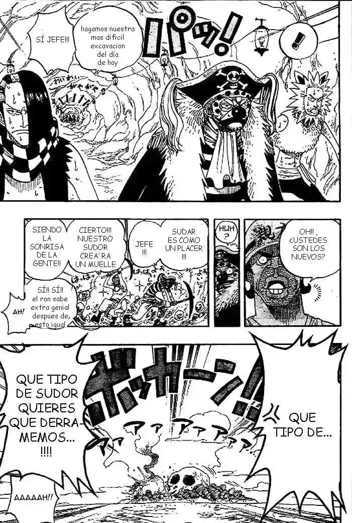 One Piece Capitulo 233 página 9