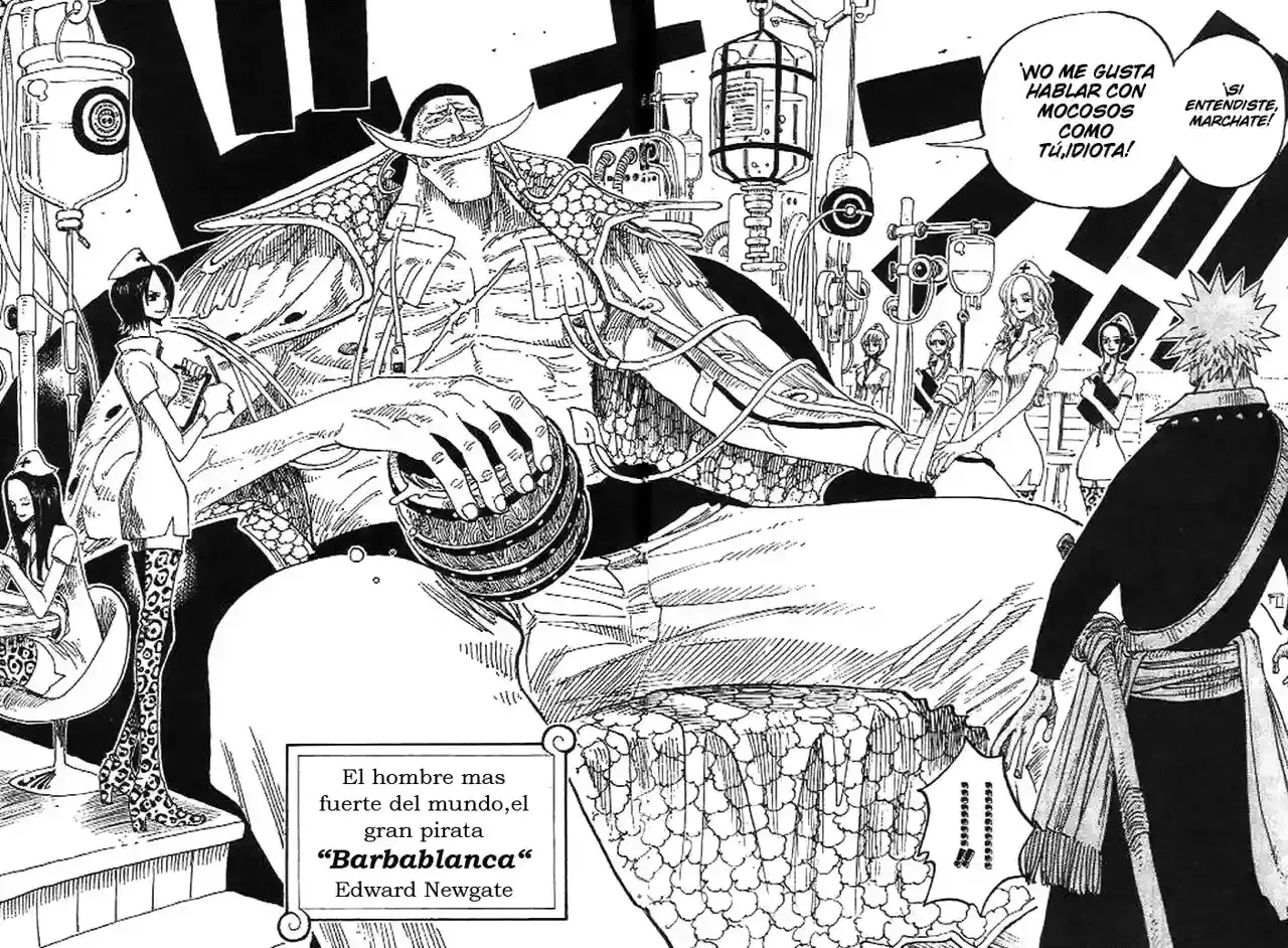 One Piece Capitulo 234 página 12