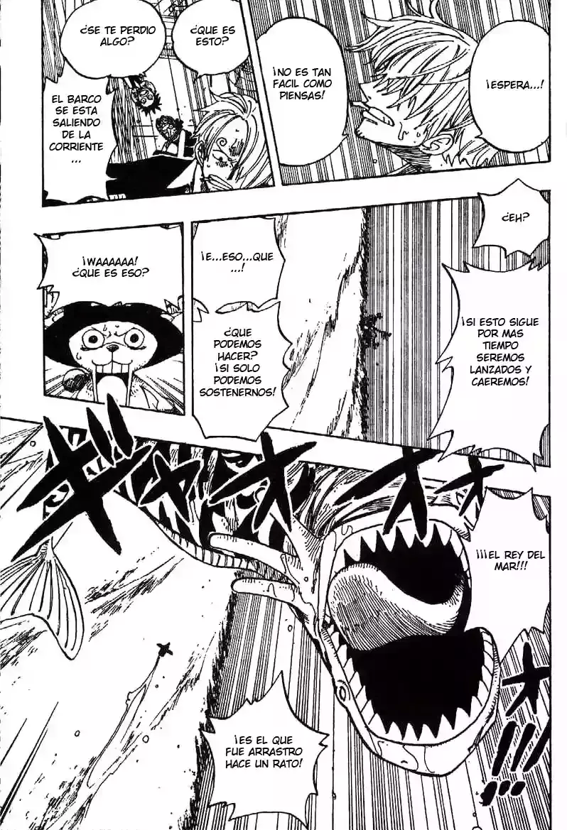 One Piece Capitulo 236 página 14