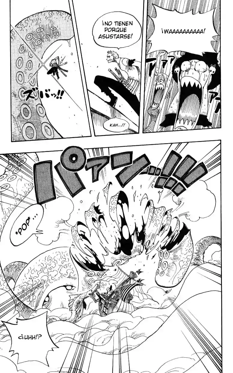 One Piece Capitulo 237 página 13