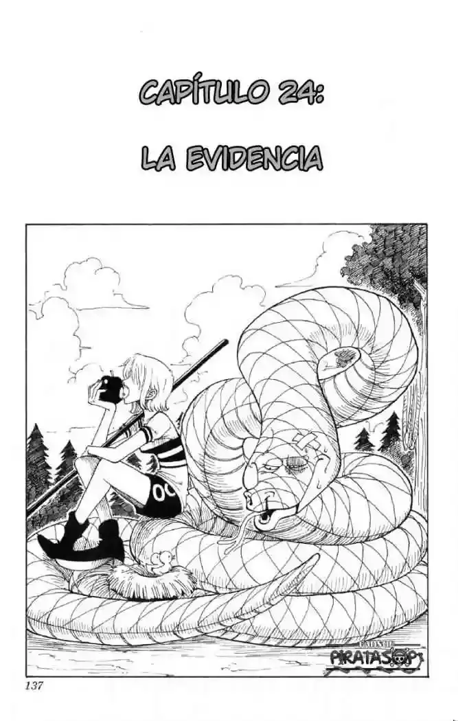 One Piece Capitulo 24: "Aquello de lo que no se puede mentir" página 2