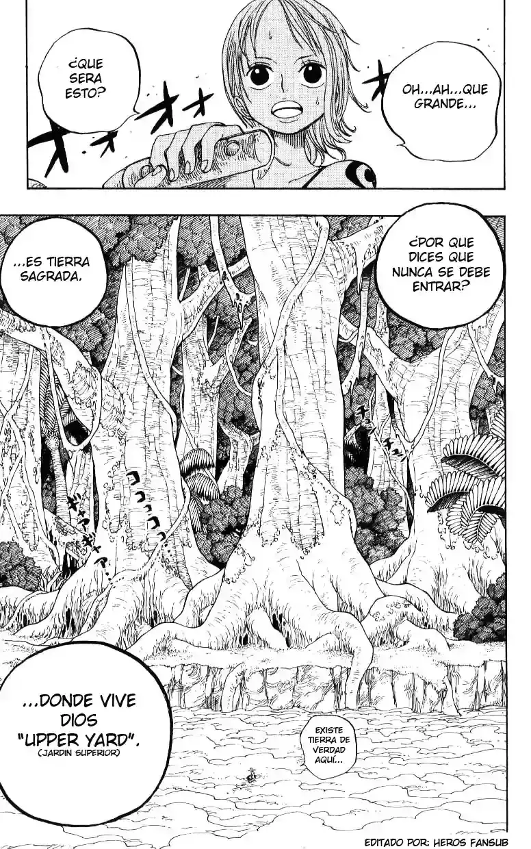 One Piece Capitulo 240 página 17