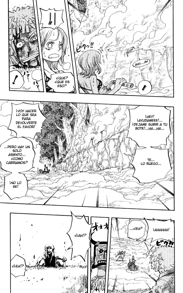 One Piece Capitulo 241 página 10