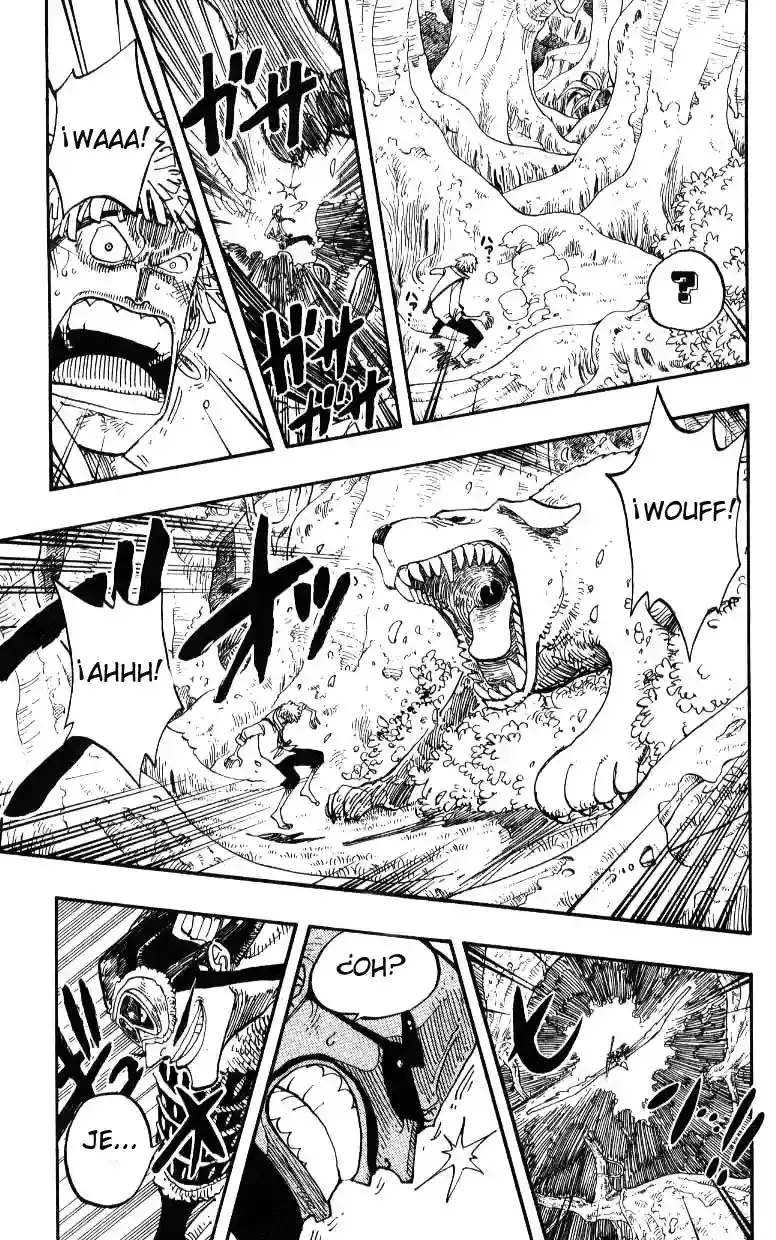 One Piece Capitulo 241 página 6