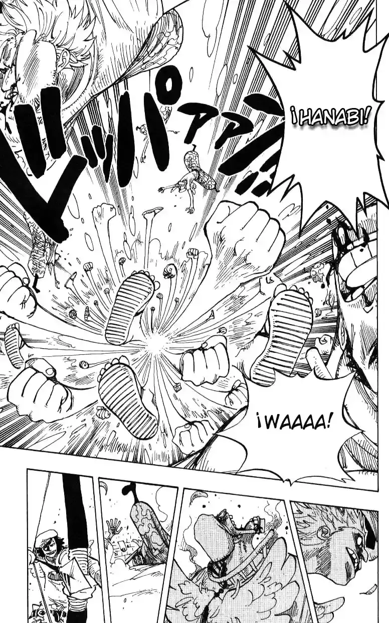 One Piece Capitulo 242 página 15