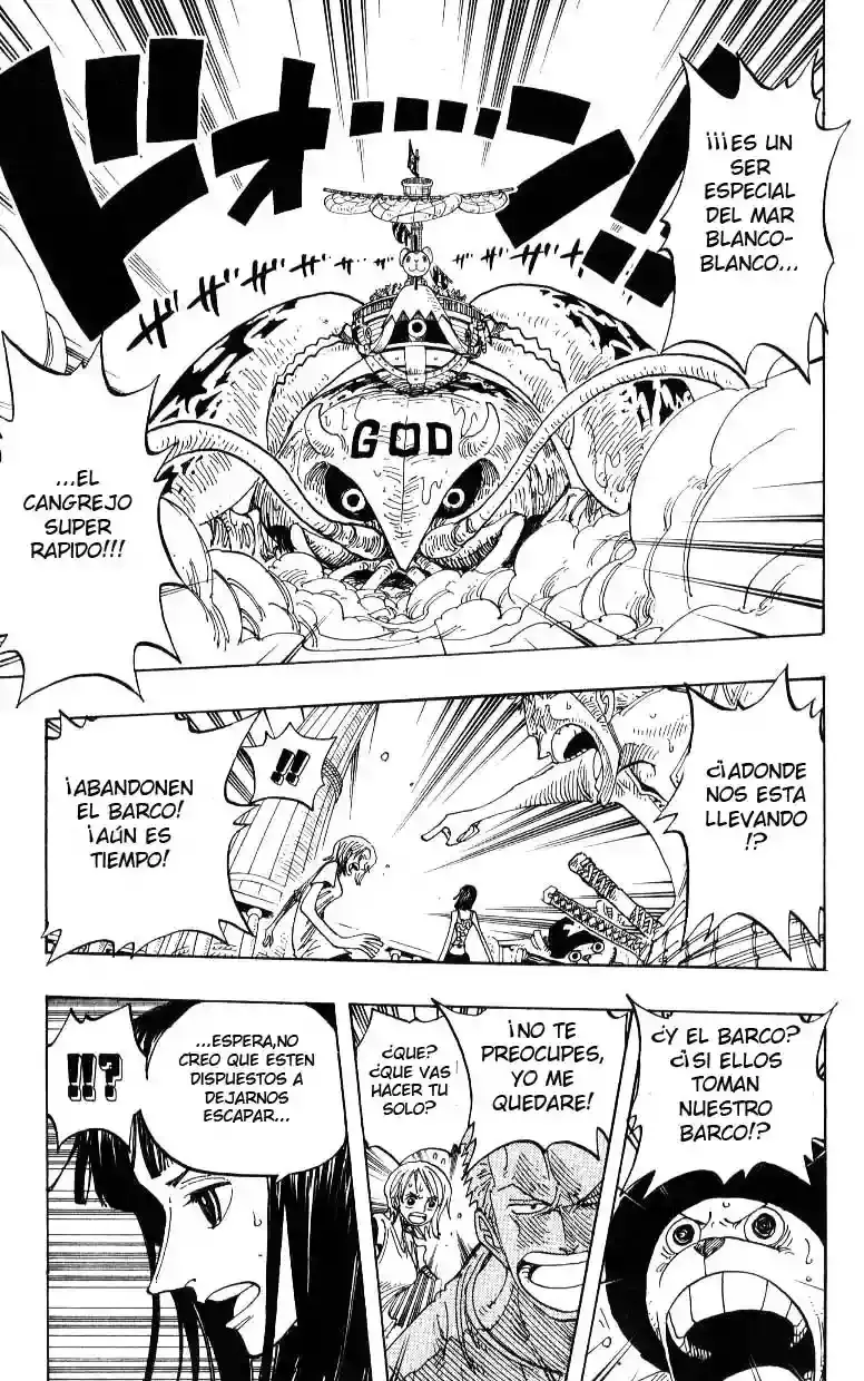 One Piece Capitulo 243 página 11