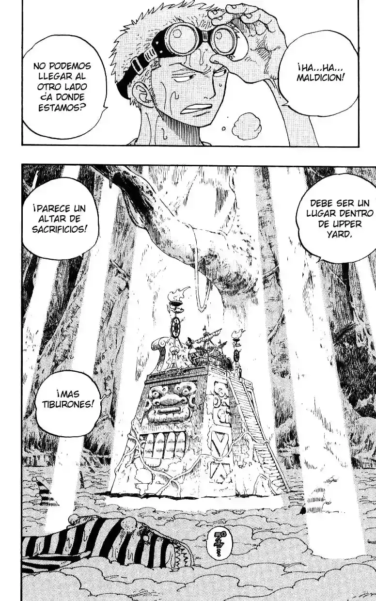 One Piece Capitulo 245 página 12