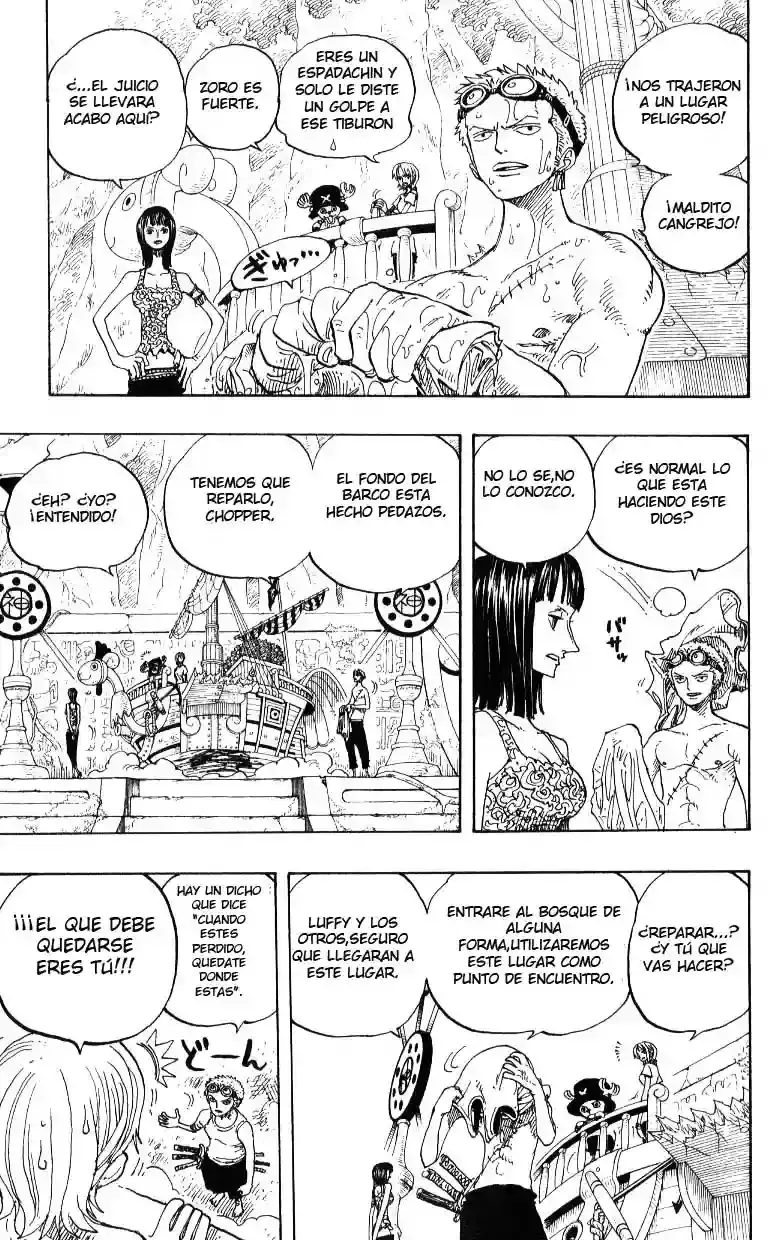 One Piece Capitulo 245 página 13