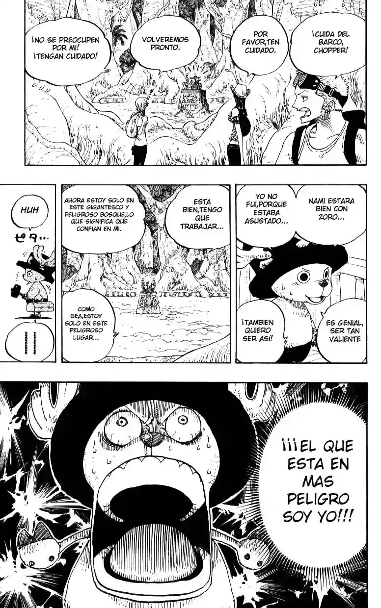 One Piece Capitulo 245 página 17