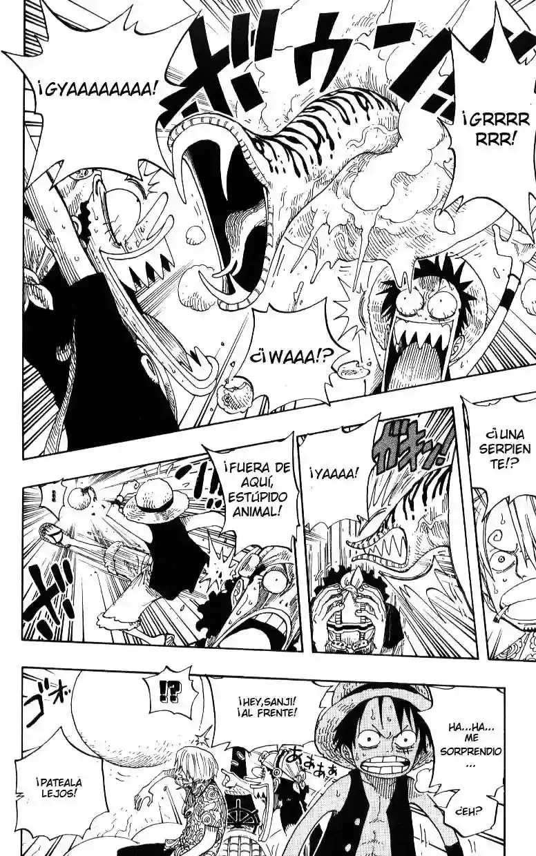 One Piece Capitulo 246 página 10