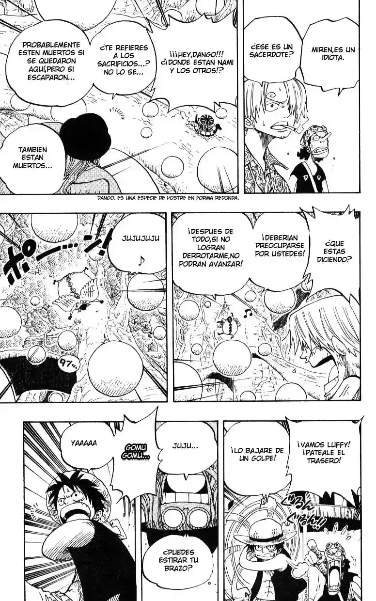One Piece Capitulo 246 página 13