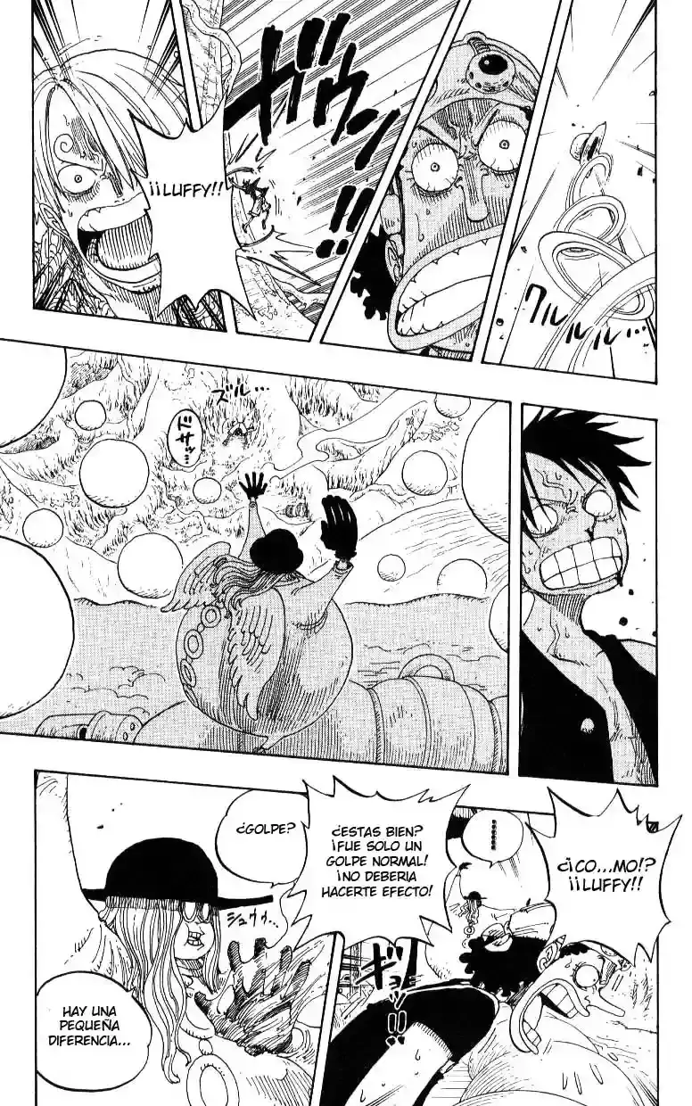 One Piece Capitulo 246 página 15