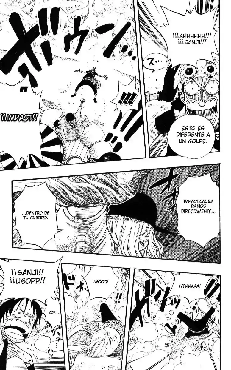 One Piece Capitulo 246 página 17