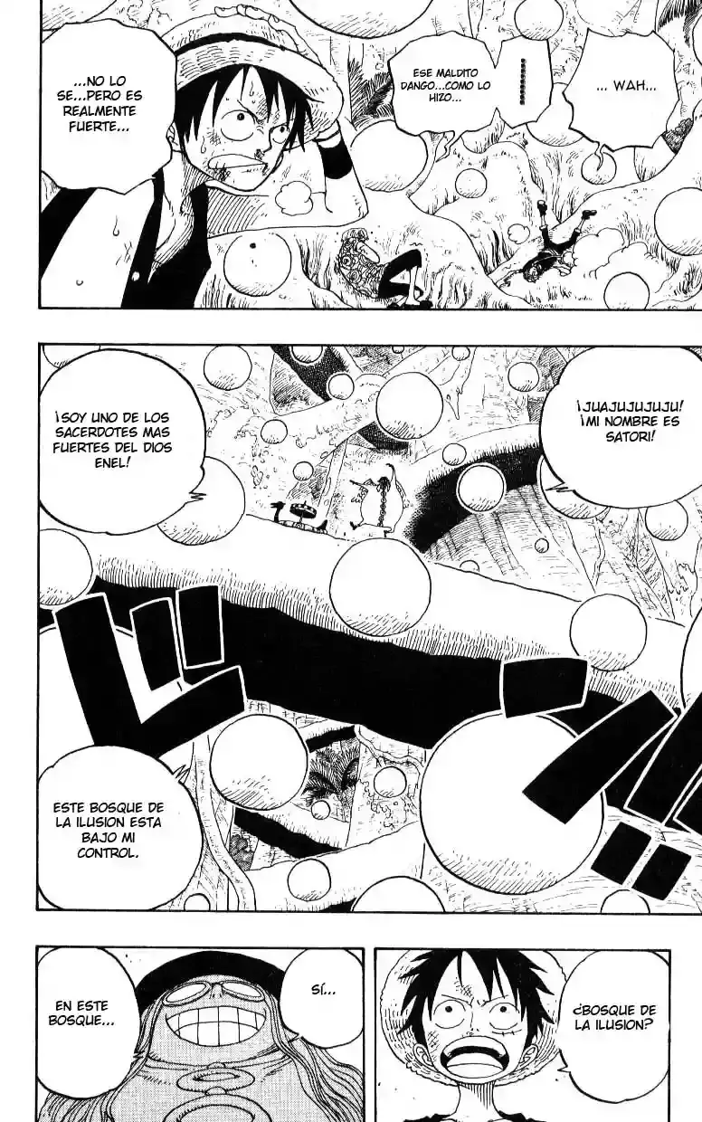 One Piece Capitulo 246 página 18