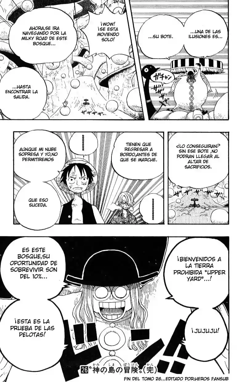 One Piece Capitulo 246 página 19