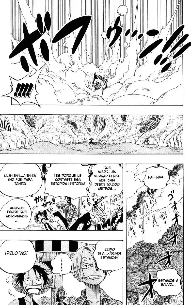 One Piece Capitulo 246 página 7
