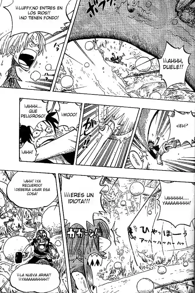 One Piece Capitulo 247 página 13