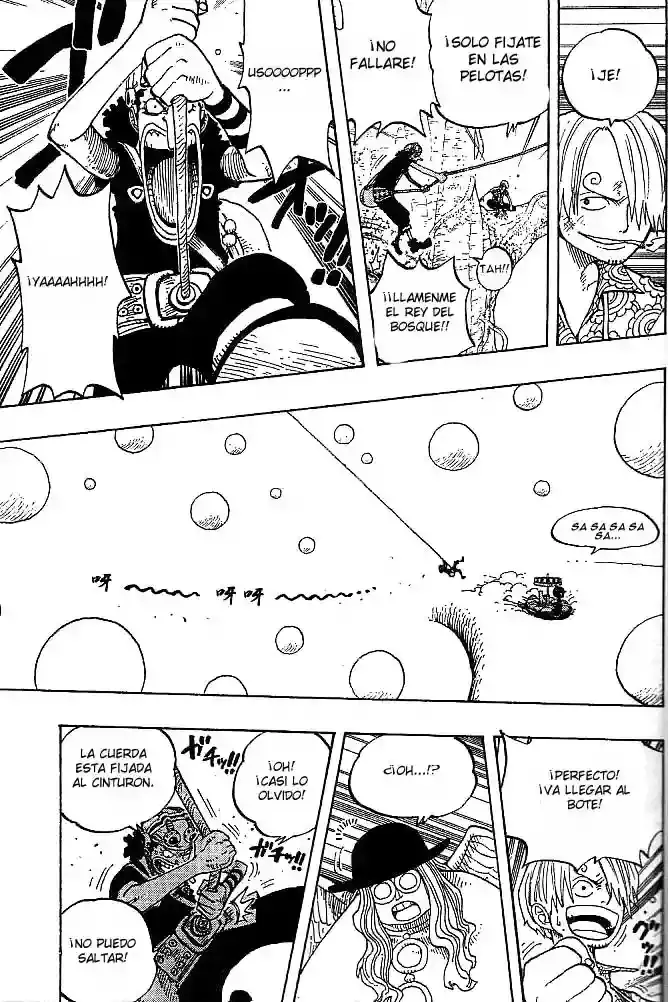 One Piece Capitulo 247 página 15