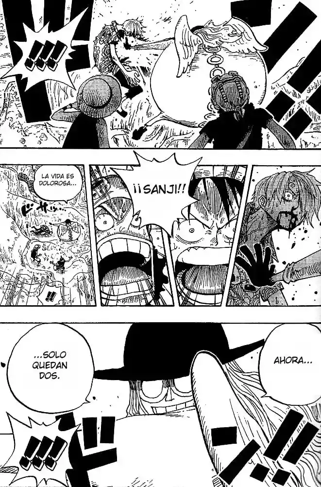 One Piece Capitulo 247 página 17